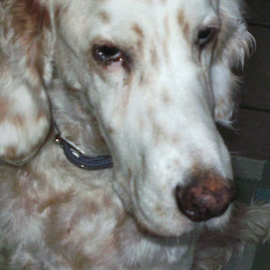 Meet your Posher, Erika